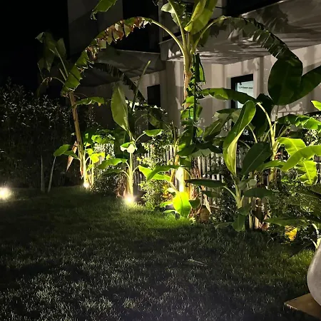 Monkey Luxury Villa Dhërmi